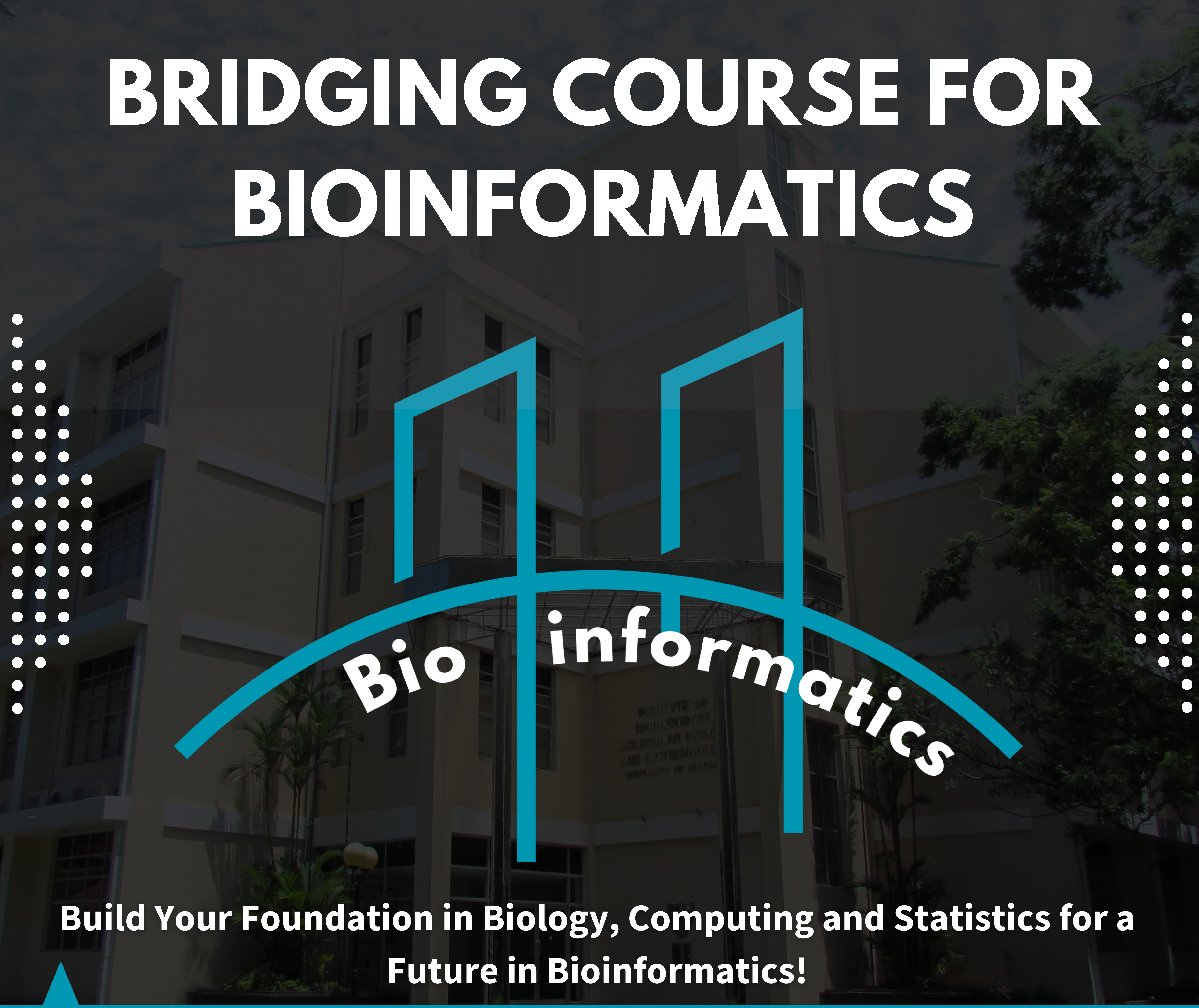 IBMBB - VLE: All courses